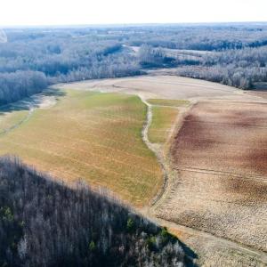 Photo #27 of 8306 Meadow Green, Browns Summit, NC 137.0 acres