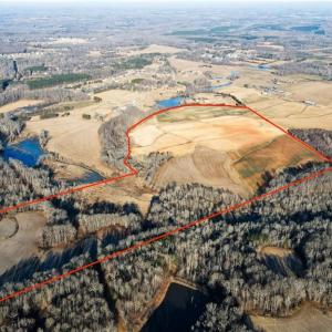 Photo #2 of 8306 Meadow Green, Browns Summit, NC 137.0 acres