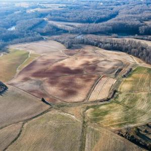 Photo #6 of 8306 Meadow Green, Browns Summit, NC 137.0 acres