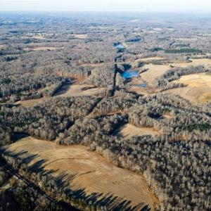 Photo #13 of 8306 Meadow Green, Browns Summit, NC 137.0 acres