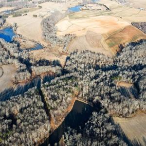 Photo #16 of 8306 Meadow Green, Browns Summit, NC 137.0 acres