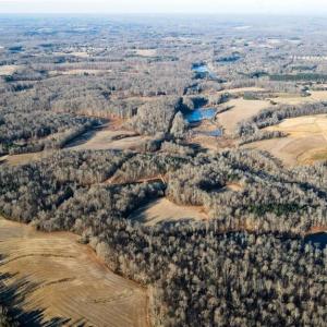 Photo #12 of 8306 Meadow Green, Browns Summit, NC 137.0 acres