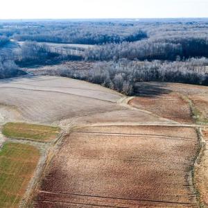 Photo #26 of 8306 Meadow Green, Browns Summit, NC 137.0 acres