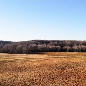 Photo #22 of 8306 Meadow Green, Browns Summit, NC 137.0 acres
