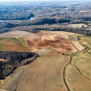 Photo #7 of 8306 Meadow Green, Browns Summit, NC 137.0 acres