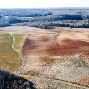 Photo #28 of 8306 Meadow Green, Browns Summit, NC 137.0 acres