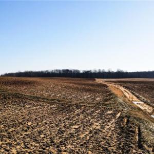 Photo #20 of 8306 Meadow Green, Browns Summit, NC 137.0 acres