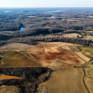 Photo #9 of 8306 Meadow Green, Browns Summit, NC 137.0 acres