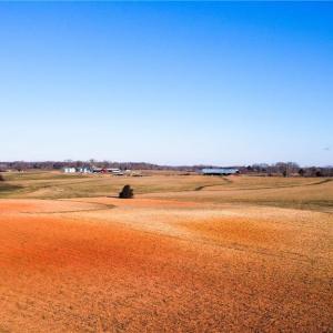 Photo #24 of 8306 Meadow Green, Browns Summit, NC 137.0 acres