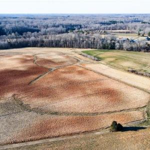 Photo #30 of 8306 Meadow Green, Browns Summit, NC 137.0 acres