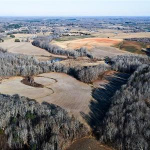 Photo #34 of 8306 Meadow Green, Browns Summit, NC 137.0 acres