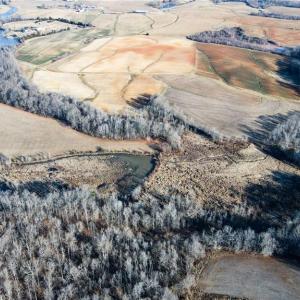 Photo #38 of 8306 Meadow Green, Browns Summit, NC 137.0 acres