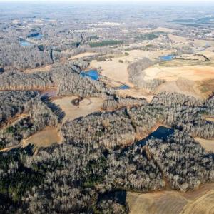 Photo #14 of 8306 Meadow Green, Browns Summit, NC 137.0 acres
