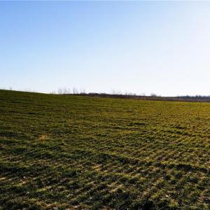 Photo #45 of 8306 Meadow Green, Browns Summit, NC 137.0 acres