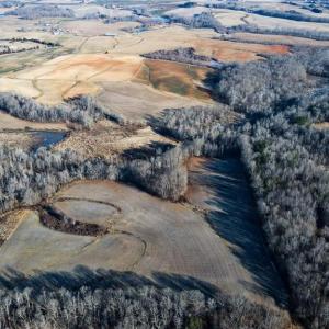 Photo #35 of 8306 Meadow Green, Browns Summit, NC 137.0 acres