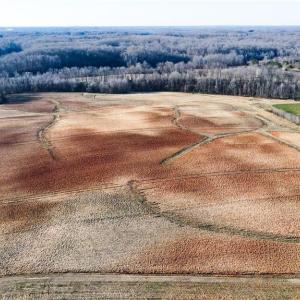 Photo #29 of 8306 Meadow Green, Browns Summit, NC 137.0 acres