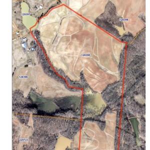 Photo #4 of 8306 Meadow Green, Browns Summit, NC 137.0 acres