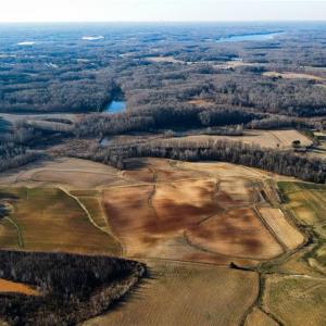Photo #8 of 8306 Meadow Green, Browns Summit, NC 137.0 acres