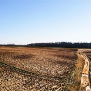 Photo #21 of 8306 Meadow Green, Browns Summit, NC 137.0 acres