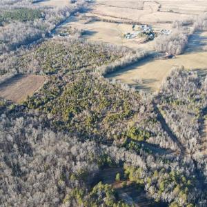 Photo #6 of 3004 ZZ County Farm, Gibsonville, NC 31.7 acres