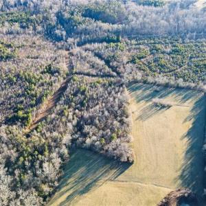 Photo #13 of 3004 ZZ County Farm, Gibsonville, NC 31.7 acres