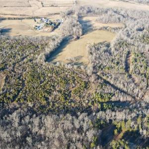 Photo #5 of 3004 ZZ County Farm, Gibsonville, NC 31.7 acres