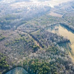 Photo #9 of 3004 ZZ County Farm, Gibsonville, NC 31.7 acres