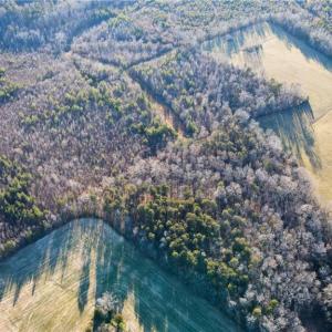 Photo #10 of 3004 ZZ County Farm, Gibsonville, NC 31.7 acres