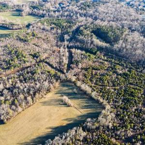 Photo #14 of 3004 ZZ County Farm, Gibsonville, NC 31.7 acres