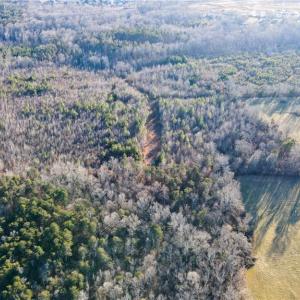 Photo #11 of 3004 ZZ County Farm, Gibsonville, NC 31.7 acres