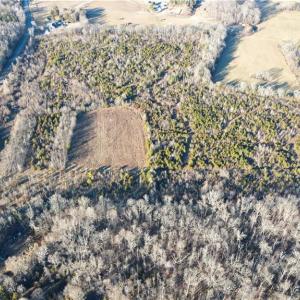 Photo #4 of 3004 ZZ County Farm, Gibsonville, NC 31.7 acres