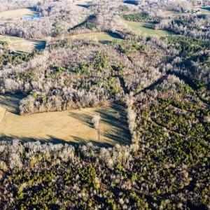 Photo #17 of 3004 ZZ County Farm, Gibsonville, NC 31.7 acres