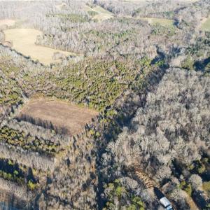 Photo #5 of 3004 ZZ County Farm, Gibsonville, NC 31.7 acres