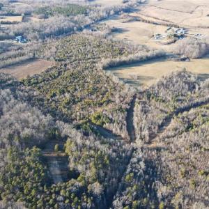 Photo #9 of 3004 ZZ County Farm, Gibsonville, NC 31.7 acres