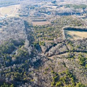 Photo #10 of 3004 ZZ County Farm, Gibsonville, NC 31.7 acres