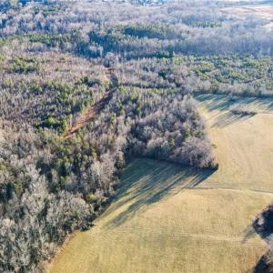 Photo #14 of 3004 ZZ County Farm, Gibsonville, NC 31.7 acres
