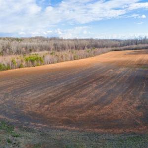 Photo #12 of Sells Farm, Kernersville, NC 25.0 acres