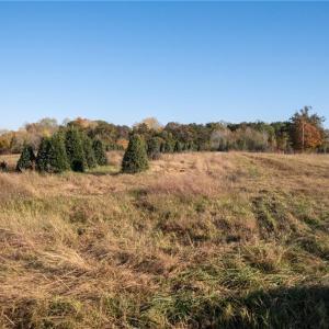 Photo #12 of Boyd, Reidsville, NC 29.4 acres