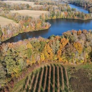 Photo #2 of Boyd, Reidsville, NC 29.4 acres