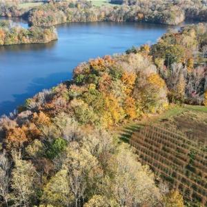 Photo #1 of Boyd, Reidsville, NC 29.4 acres