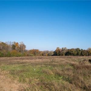 Photo #11 of Boyd, Reidsville, NC 29.4 acres