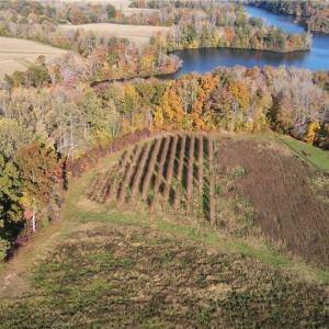 Photo #8 of Boyd, Reidsville, NC 29.4 acres