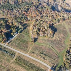 Photo #7 of Boyd, Reidsville, NC 29.4 acres