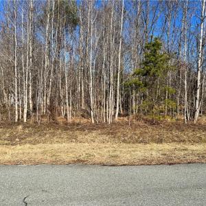 Photo #3 of Service, Mebane, NC 0.7 acres