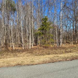 Photo #4 of Service, Mebane, NC 0.7 acres