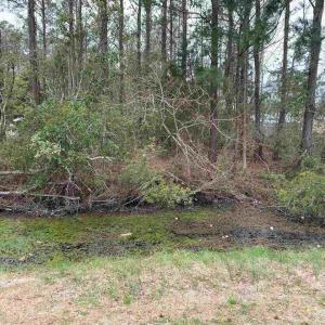 Photo #1 of SOLD property in 6291 Highway 64/264, Manns Harbor, NC 0.4 acres
