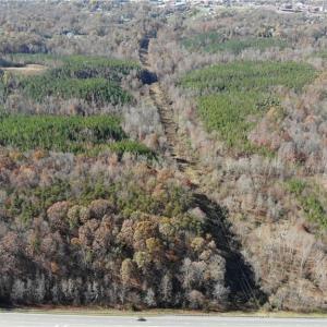 Photo #5 of Morehead, Reidsville, NC 100.4 acres