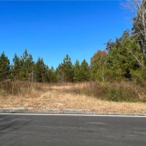 Photo #21 of Morehead, Reidsville, NC 100.4 acres