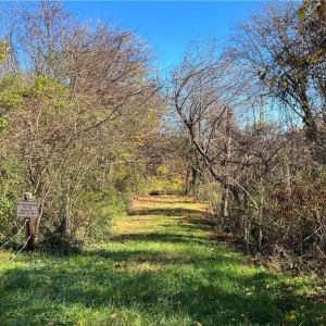 Photo #27 of Morehead, Reidsville, NC 100.4 acres