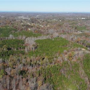 Photo #12 of Morehead, Reidsville, NC 100.4 acres